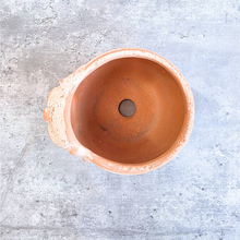 Load image into Gallery viewer, RapaNui Dog Flowerpot
