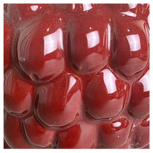 Load image into Gallery viewer, The Leaferie Riora red grape flowerpot

