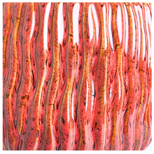 Load image into Gallery viewer, Calyra red ceramic flowerpot by the leaferie

