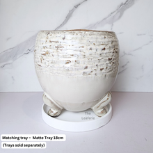 Load image into Gallery viewer, The Leaferie Arnold ceramic pot with legs
