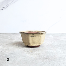 Load image into Gallery viewer, The Leaferie Bonsai 79. Hexagon shape 4 colours ceramic pot
