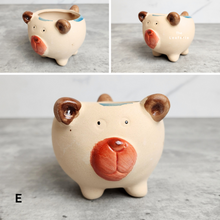 Load image into Gallery viewer, The Leaferie Allie Animal Series 3. 6 designs ceramic mini pots. Design E
