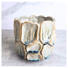 Load image into Gallery viewer, Asnee Flowerpot
