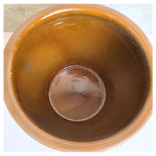 Load image into Gallery viewer, Arden Teal ceramic pot with elephant design on a light gray background,  LEAFERIE . fish bowl . no drainage
