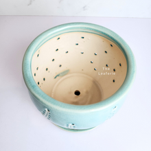 Load image into Gallery viewer, The Leaferie Liane orchid pot with holes and matching tray. ceramic material
