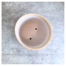 Load image into Gallery viewer, Arbor planters with palm tree design on a marble surface, featuring the Leaferie brand.
