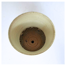 Load image into Gallery viewer, Blanc White textured vase on a gray surface with 'LEAFERIE' branding.
