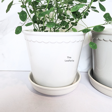 Load image into Gallery viewer, The Leaferie Freja glossy pot with tray. white and ash colour ceramic pot
