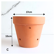 Load image into Gallery viewer, HANNA Terracotta Flowerpot with Holes (Tall) 6 sizes
