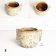 Load image into Gallery viewer, Petit Flowerpots (Series 19)
