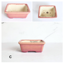 Load image into Gallery viewer, The Leaferie Bonsai 82 . rectangular bonsai pot. 4 colours. 
