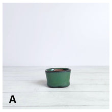 Load image into Gallery viewer, Petit Bonsai Flowerpot (Series 6)
