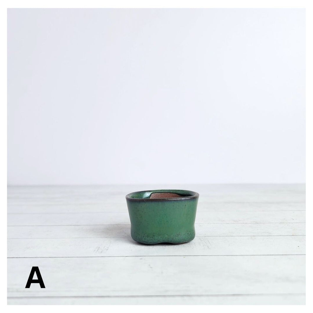 Petit Bonsai Flowerpot (Series 6)