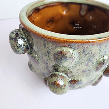 Load image into Gallery viewer, The Leaferie Maisie ceramic pot with 2 sizes. 
