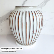 Load image into Gallery viewer, The Leaferie Velde tall flowerpot. ceramic white colour with stripes
