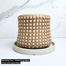 Load image into Gallery viewer, The Leaferie Bronwyn studded beige flowerpot. ceramic material

