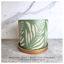 Load image into Gallery viewer, Lierre Green container with leaf pattern on a light gray surface, featuring the brand 'LEAFERIE'.

