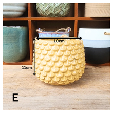 Load image into Gallery viewer, Lyon Hanging Flowerpot (Series 5)
