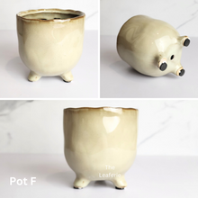 Load image into Gallery viewer, The Leaferie Mini Pots (Series 10). 9 designs.Design  F
