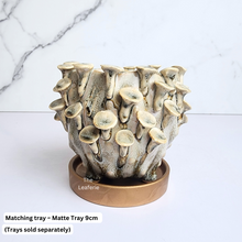 Load image into Gallery viewer, The Leaferie Handmade Moti Flowerpot. ceramic material
