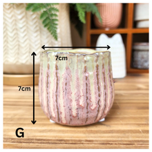 Load image into Gallery viewer, Petit Flowerpots (Series 5)
