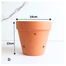 Load image into Gallery viewer, HANNA Terracotta Flowerpot with Holes (Tall) 6 sizes
