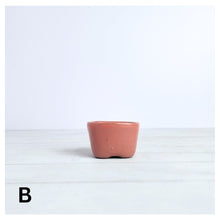 Load image into Gallery viewer, Petit Bonsai Flowerpot (Series 6)
