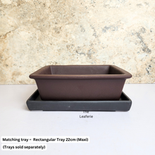 Load image into Gallery viewer, The Leaferie Bonsai rectangular series 3. Purple sand material .2 designs
