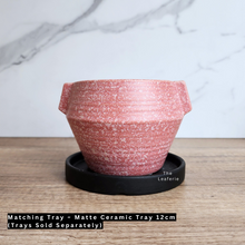 Load image into Gallery viewer, The Leaferie Liora pink flowerpot. ceramic material
