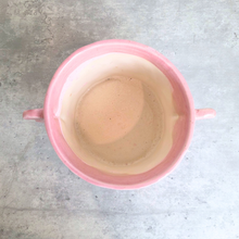 Load image into Gallery viewer, A pink speckled ceramic planter with two loop handles on the sides, shown on a gray stone surface against a white marble background. The brand name LEAFERIE is displayed at the top, and the color name 'Kova' along with a texture swatch graphic are shown in the corners.
