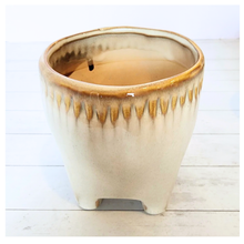 Load image into Gallery viewer, Maolisa Flowerpot
