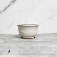 Load image into Gallery viewer, Petit Bonsai Flowerpot (Series 21)
