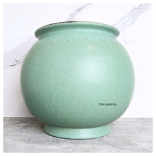 Load image into Gallery viewer, The Leaferie Aalto round green and white ceramic flowerpot. 
