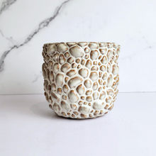 Load image into Gallery viewer, The Leaferie Gatsby Flowerpot. ceramic rock like pot
