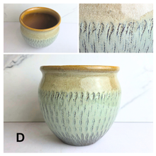 Load image into Gallery viewer, Avia Flowerpot
