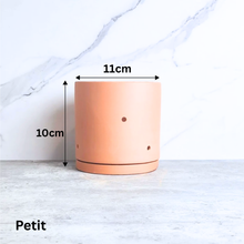 Load image into Gallery viewer, Terracotta Flowerpot G with Holes (3 sizes)
