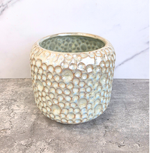 Load image into Gallery viewer, Olivia Iridescent Flowerpot (3 sizes)
