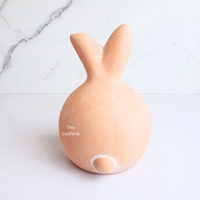 Load image into Gallery viewer, The Leaferie Antonio garden decoration 2 designs of Rabbit and cat. terracotta material
