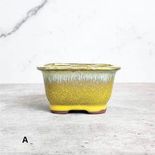 Load image into Gallery viewer, Bonsai Flowerpot (Series 24) Rectangular
