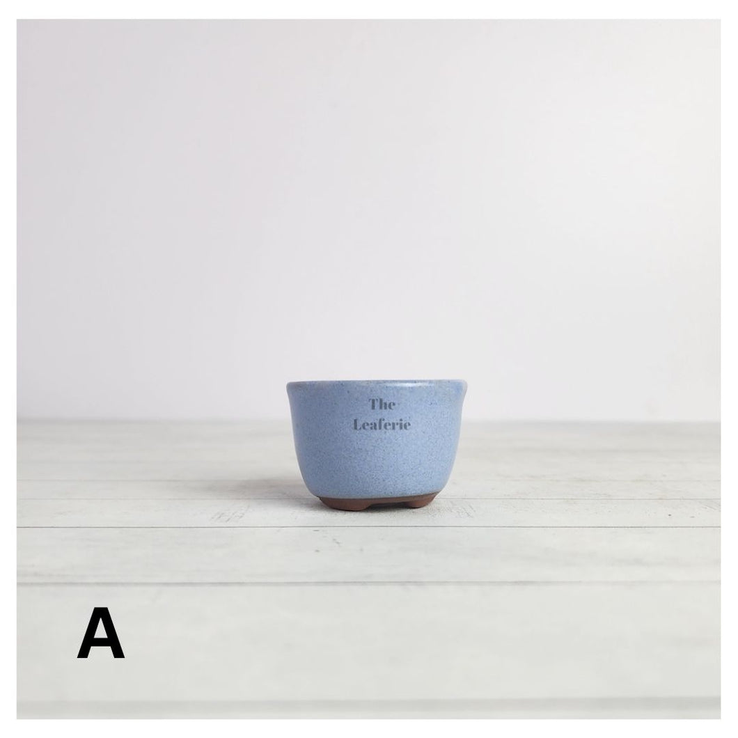 Petit Bonsai Pot (Series 15)