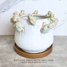 Load image into Gallery viewer, A white ceramic planter pot decorated with eight green and gold frog figures around the rim, sitting on a round gold tray. The text at the bottom reads 'MATCHING TRAYS MATTE TRAY 18CM (TRAYS SOLD SEPARATELY)'.
