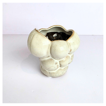 Load image into Gallery viewer, Leaferie Zia  ceramic pot, one pink and one beige, Ceramic material

