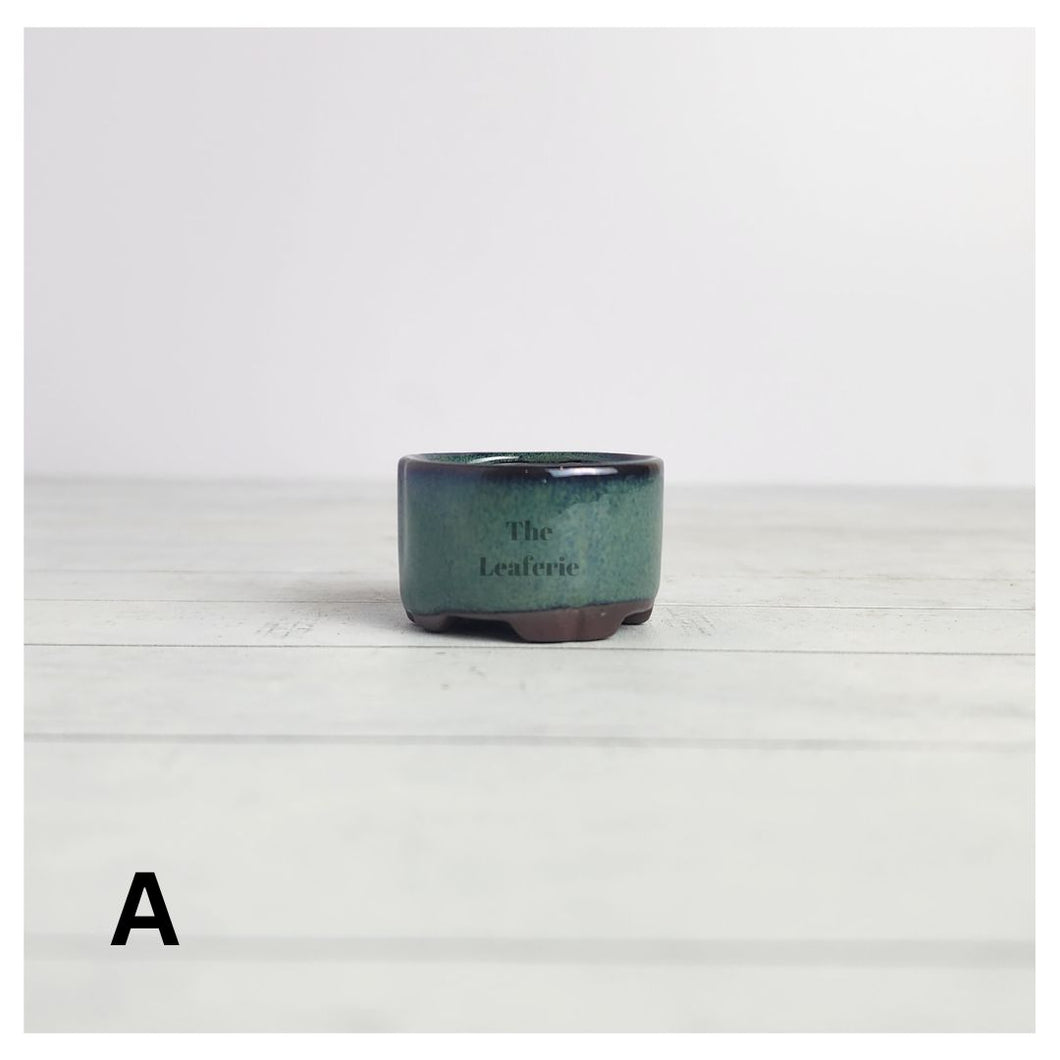 Petit Bonsai flowerpot (Series 17)