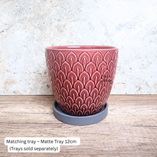 Load image into Gallery viewer, Cho Oyu Flowerpot

