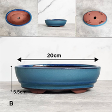 Load image into Gallery viewer, Tally Bonsai Flowerpot (Series 2)
