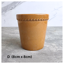 Load image into Gallery viewer, Leaferie Petit pot series 22. 9 designs.
