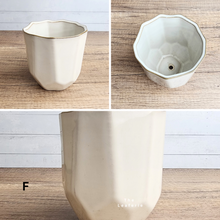 Load image into Gallery viewer, The Leaferie Mini pots Series 9. 9 designs ceramic pot. Pot F
