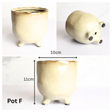 Load image into Gallery viewer, Mini Flowerpots (Series 10) 10cm
