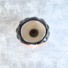 Load image into Gallery viewer, Chinoiserie Flowerpot

