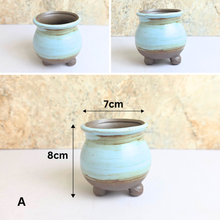 Load image into Gallery viewer, Petit Allegra Flowerpots (Series 2)
